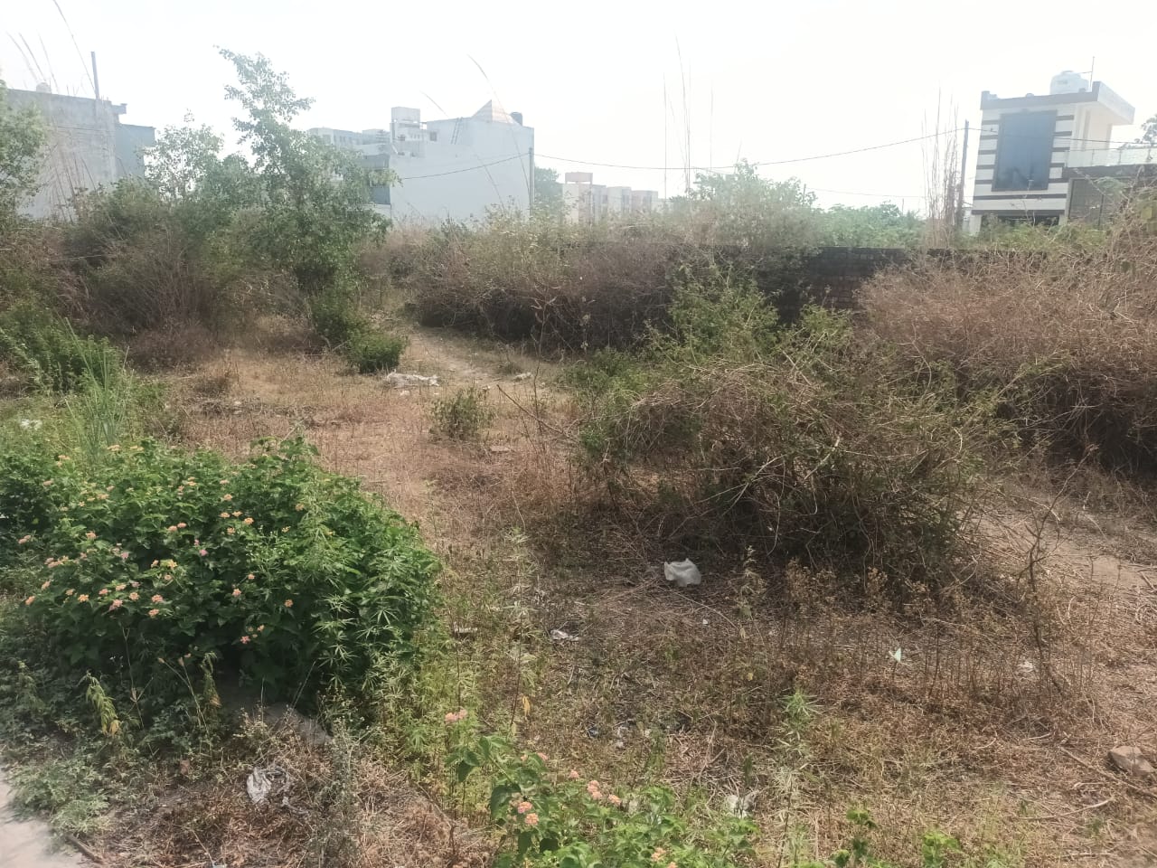 PN000143